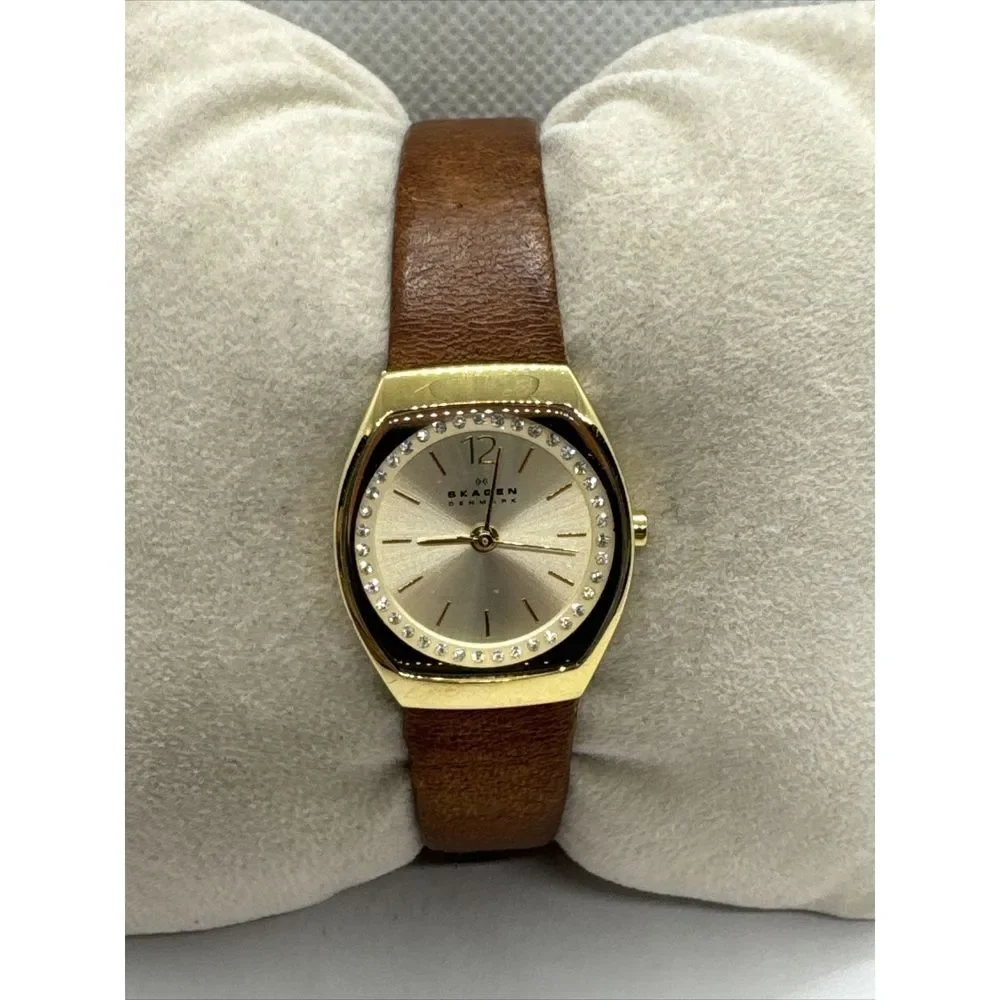 Skagen Asta SKW2239 Women's Brown Leather Analog Dial Quartz Wrist Watch JNA923